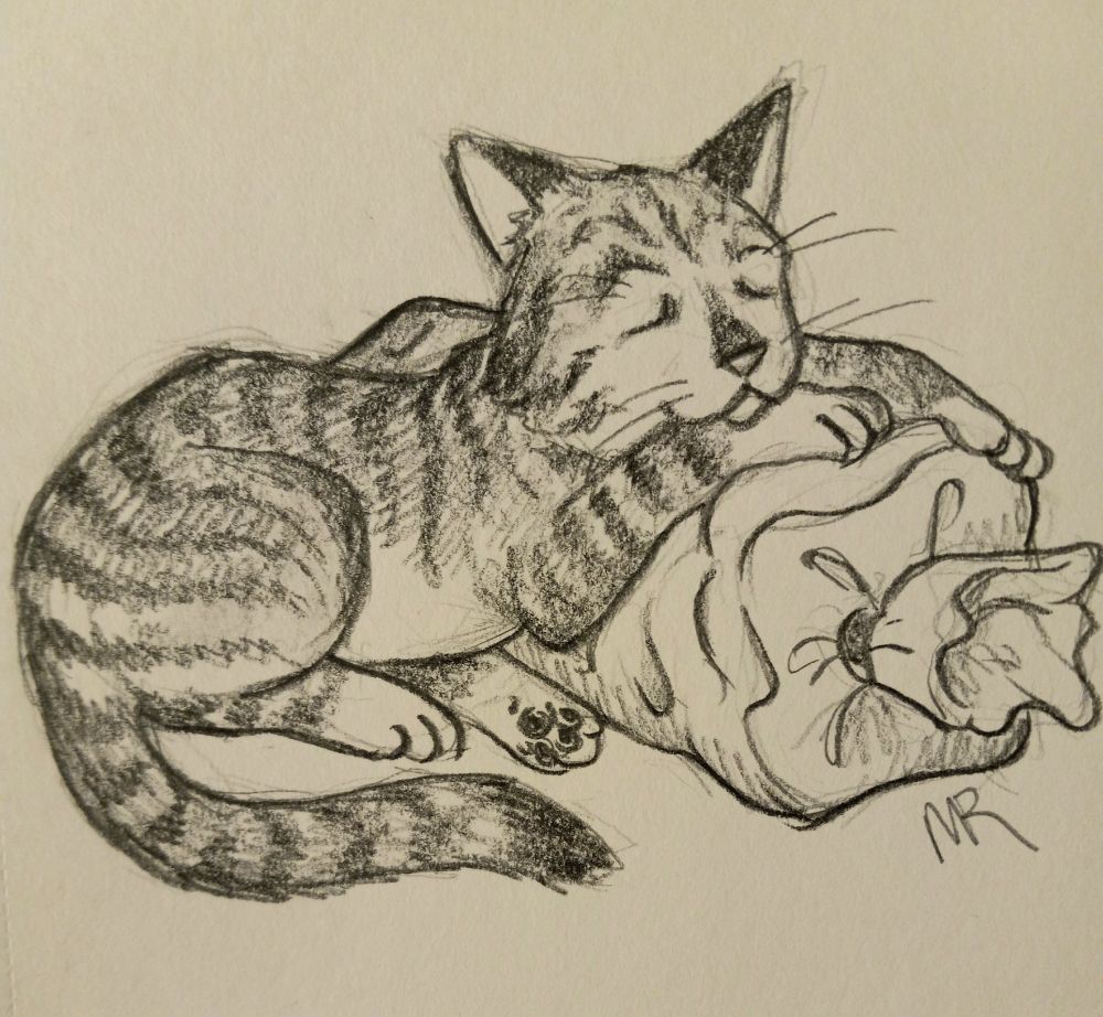 Sketch of a striped cat sleeping on a loaf of bread 