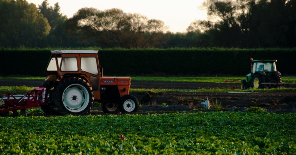 WWOOF Neuseeland | Arbeiten in Neuseeland auf Ökofarmen