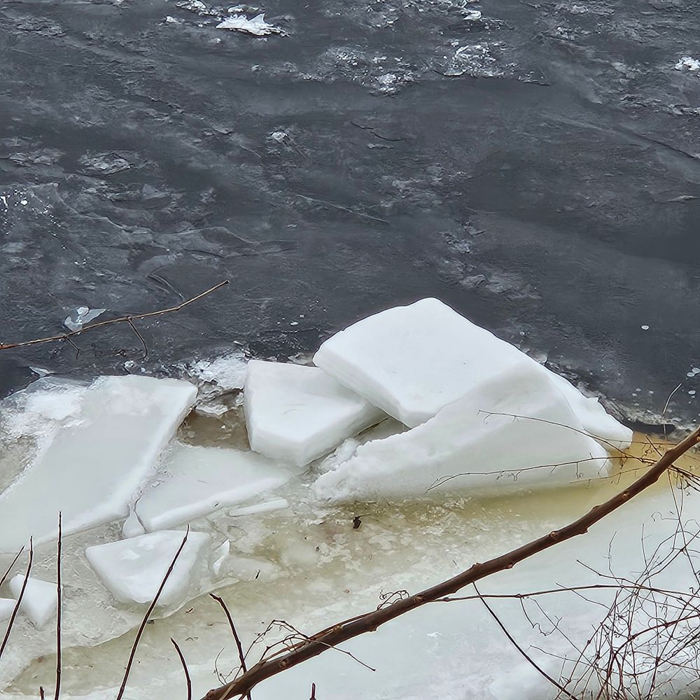 Dégel sur la rivière St Maurice.  Accumulation de blocs de glace. A ril 2025