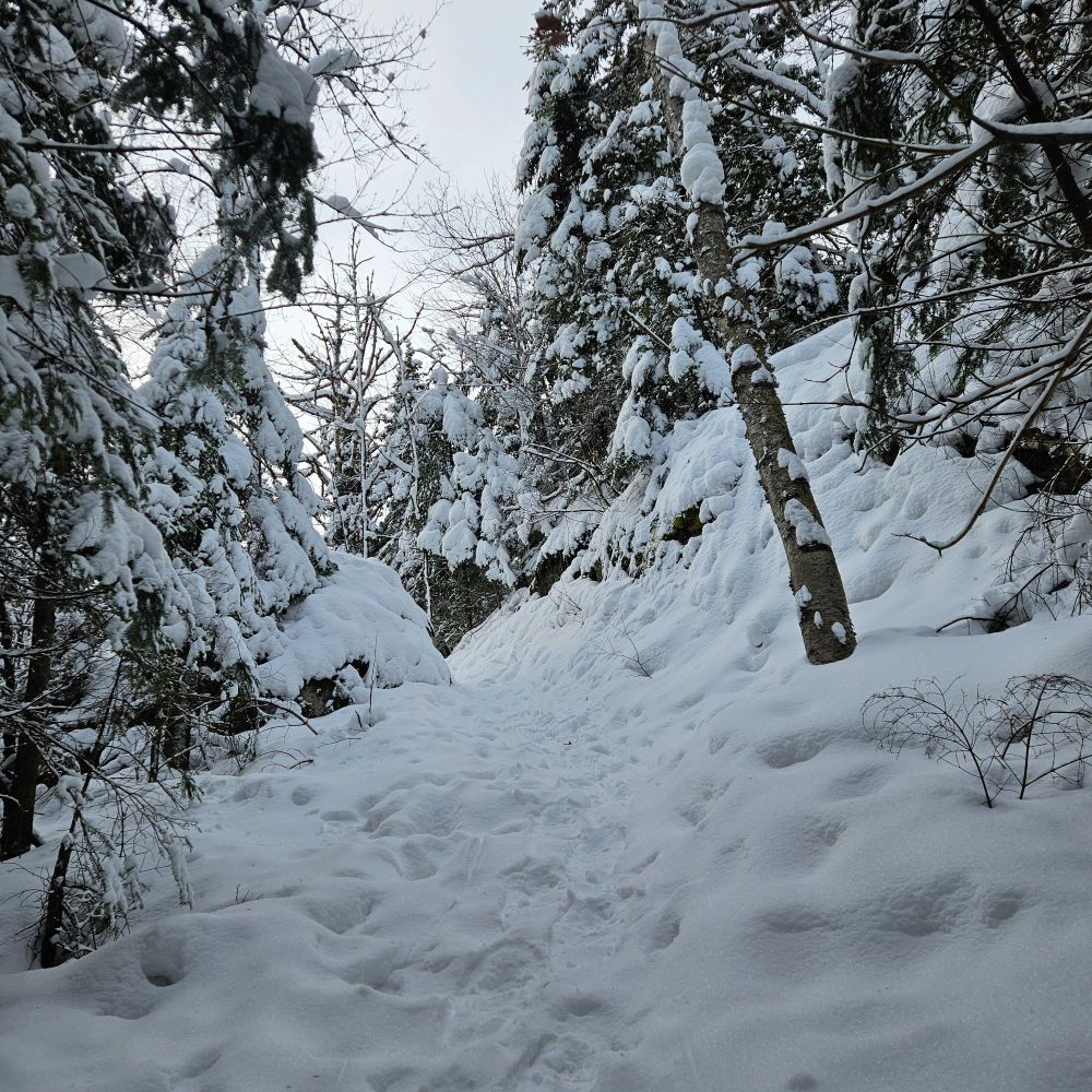 Sentier enneigé au milieu des bois au Québec St Bonifiée. La trace tapée est peu visible.