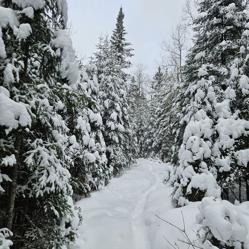 Sentier enneigé au milieu des bois au Québec St Bonifiée. La trace tapée est peu visible
