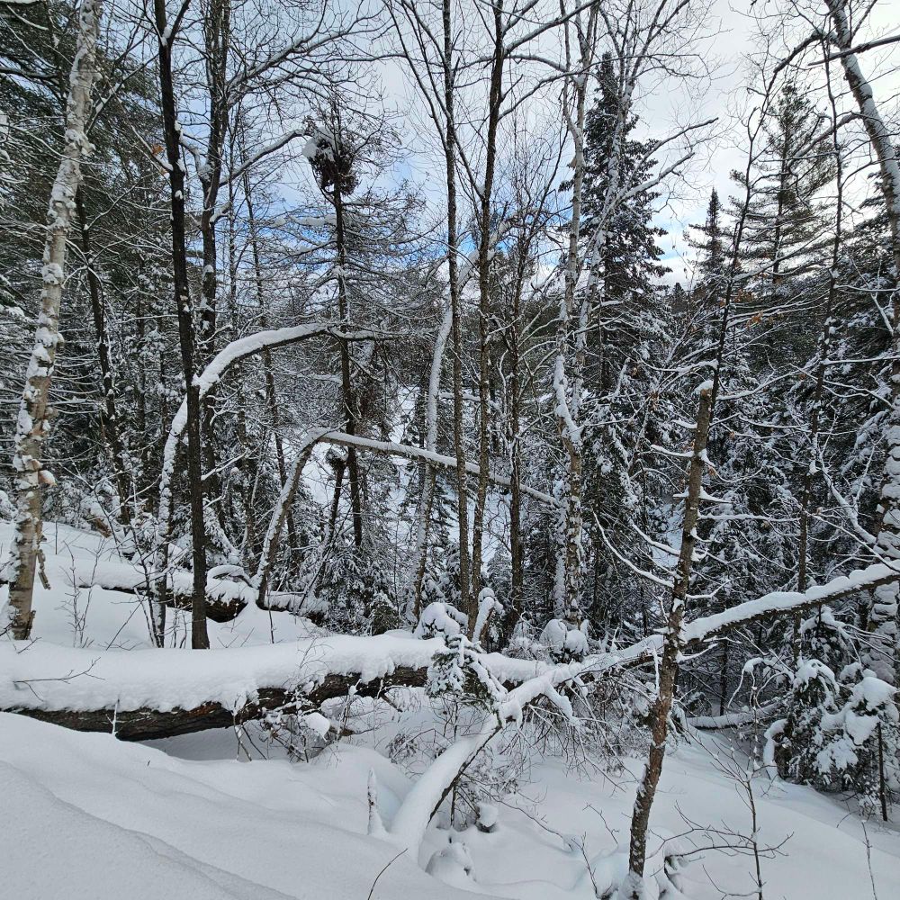 Sentier enneigé au milieu des bois au Québec St Bonifiée. La trace tapée est peu visible