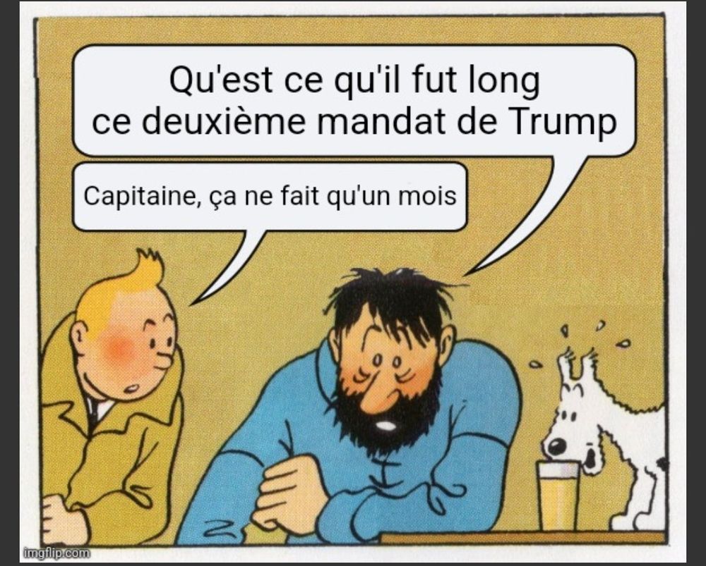 Comment image