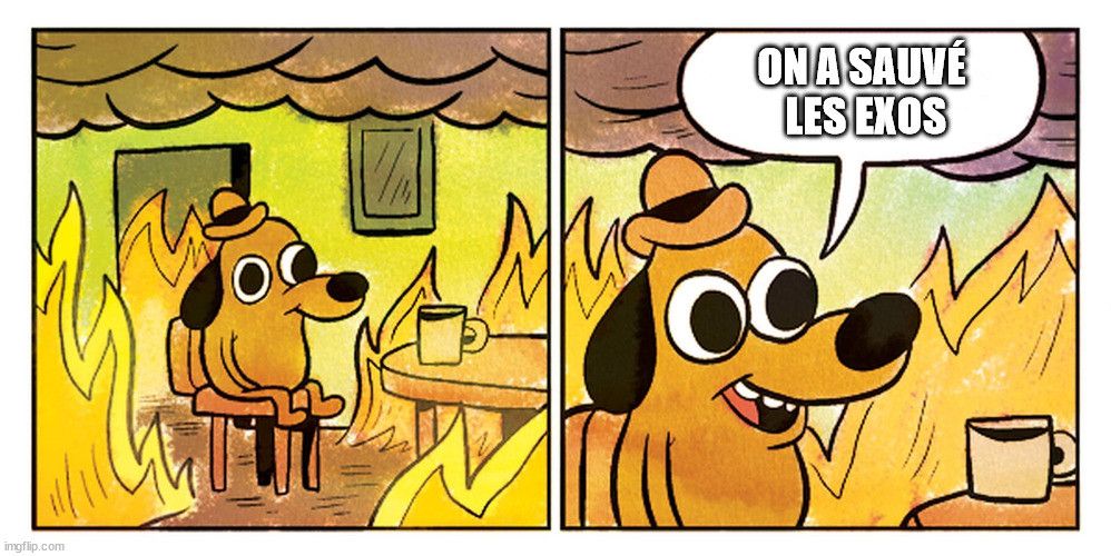 Mème "This is Fine". 

Strip en 2 cases. 
Case 1: un chien dans une pièce en feu de vant un mug. 

Case 2:  le chien parle: on a sauvé les exos