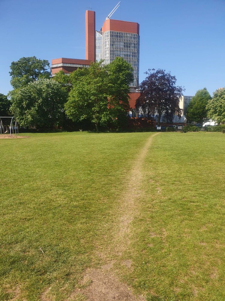 Desire line in grass