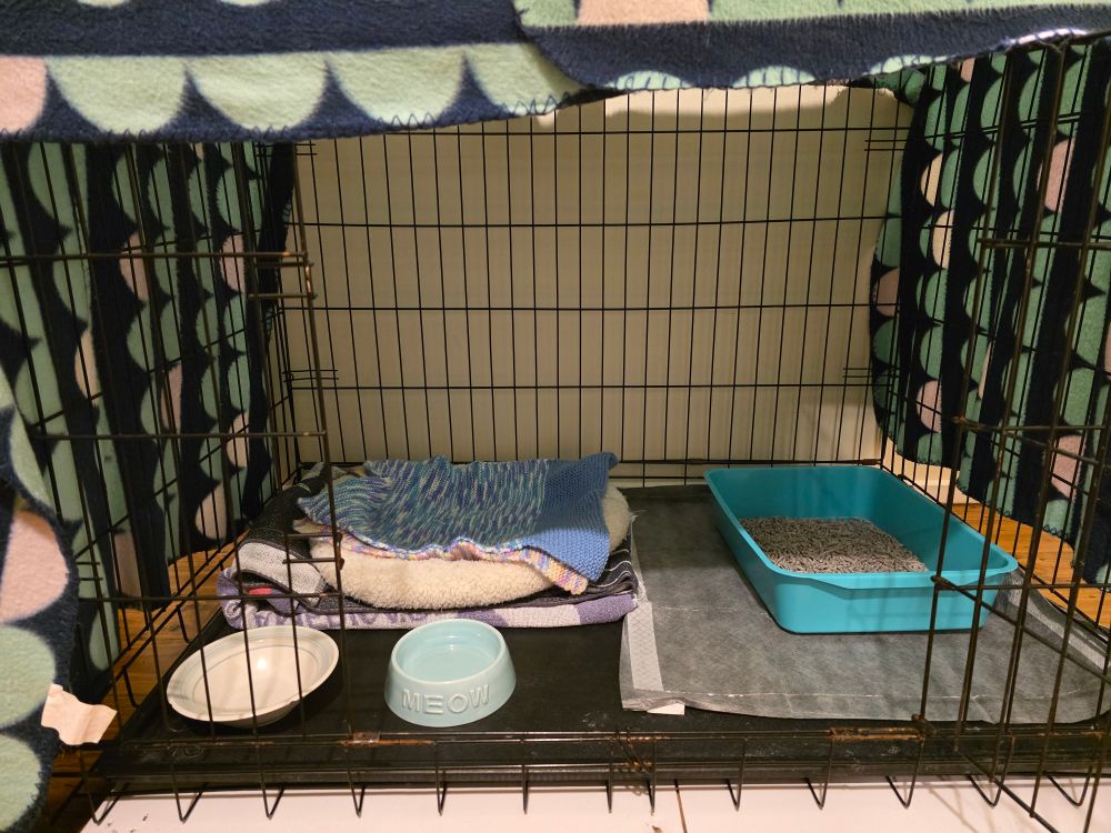 A large crate set up ready for a medical foster kitten with a bed, food and water bowls and a litter tray. 