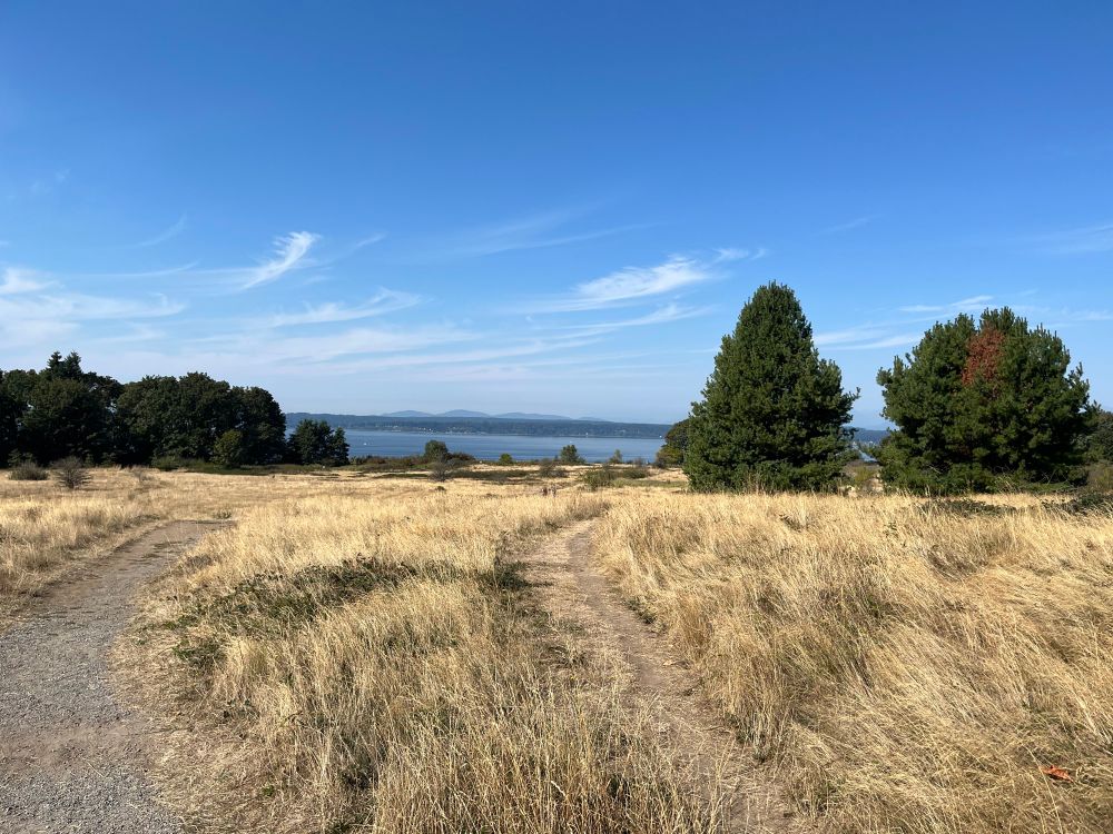 view of Puget Sound from dry meadow in Discovery Park in Seattle