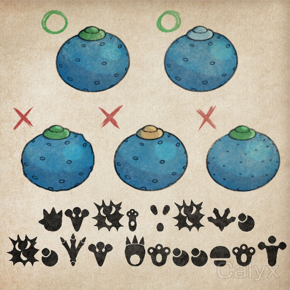 A Pokemon Mystery Dungeon illustration of a guide distinguishing Oran Berries from its Lookalike Item, Oren Berries. The Footprint Runes say, “KNOW YOUR OREN BERRIES”
