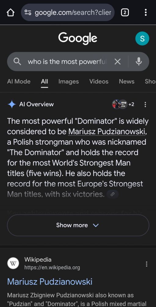 Google search for the most powerful dominator in the EU returns Polish strongman Mariusz Pudzianowski.
