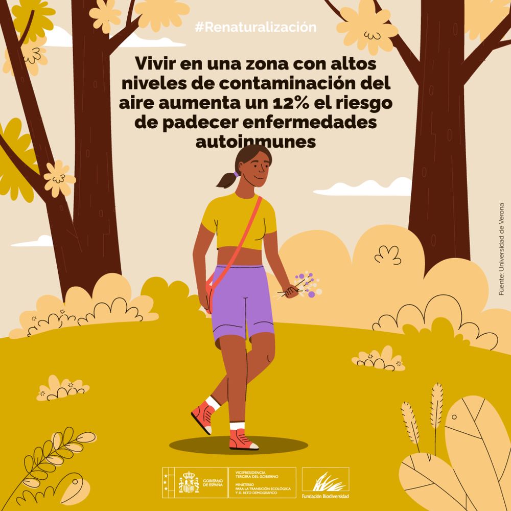 Vivir en una zona con altos niveles de contaminación del aire aumenta un 12% el riesgo de padecer enfermedades autoinmunes