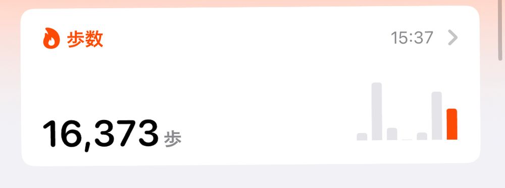 今日の歩数
16373歩