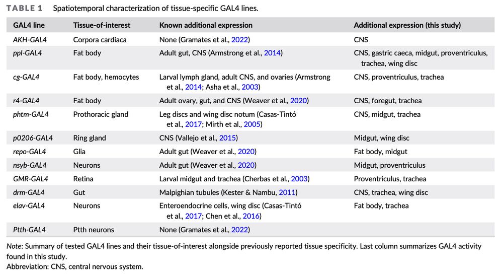 Screenshot of Table 1 from https://doi.org/10.1002/dvg.23600. Shows off-target expression for 11/12 Gal4 driver lines tested. But shoutout to Ptth-Gal4 for being a real one.