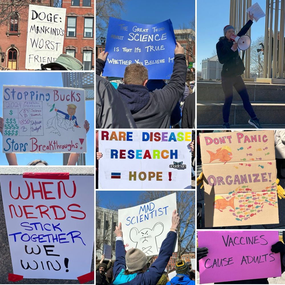 More clever signs! And Annika at top right being loud 