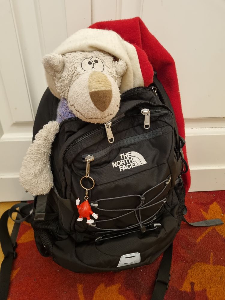 Aus einem schwarzen Rucksack schaut der Kopf und ein Arm eines weißen Bären. Auf dem Kopf sitzt eine Weihnachtsmütze, der lange Zipfel hängt rechts neben dem Rucksack nach unten.