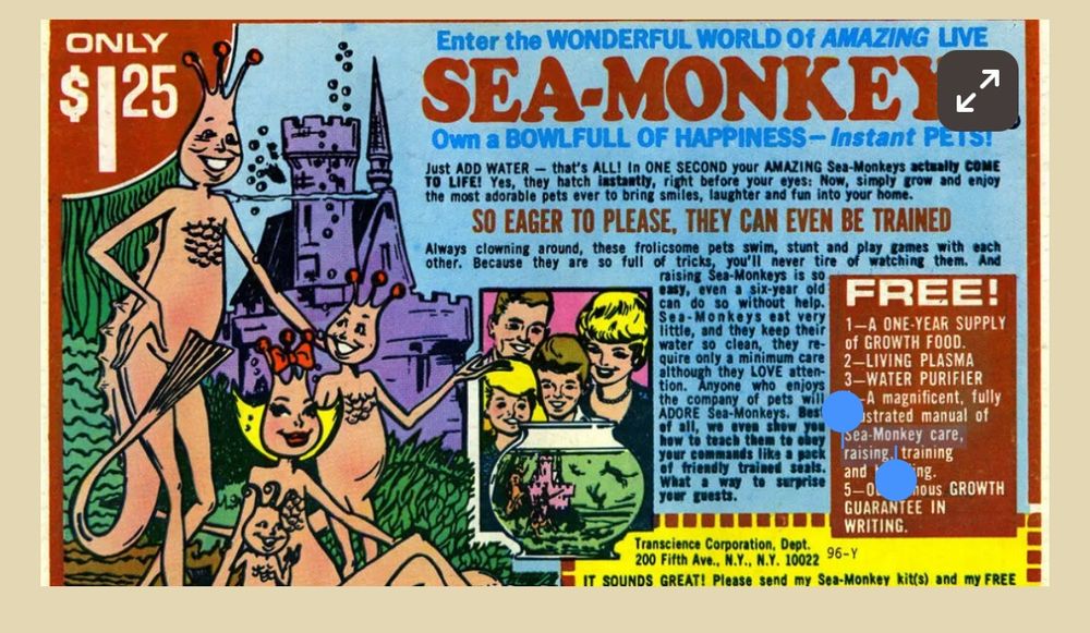 Vintage advertisement for Sea-Monkeys, featuring colorful illustrations of humanoid aquatic creatures with crowns and tails, swimming around a castle-like structure. The ad highlights a price of $1.25, promising instant pets that come to life with water, are trainable, and bring happiness. It includes a family scene, a bowl with Sea-Monkeys, and a list of free items: a one-year supply of growth food, living plasma, water purifier, an illustrated manual, and a growth guarantee in writing. The address of Transcience Corporation, Dept. 96-Y, 200 Fifth Ave., N.Y., N.Y. 10022, is provided for ordering.