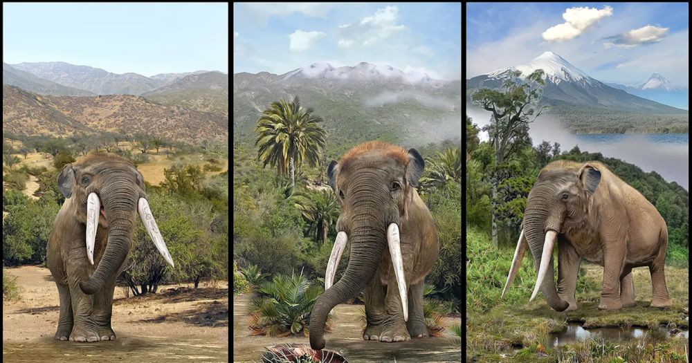 Refuting Creationism - Co-Evolution of Trees And Mastodons In South America