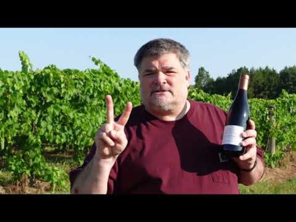 IMPRESSIVE - Domaine de Bel-Air 2022 Les Granits Bleus Beaujolais-Villages (France)