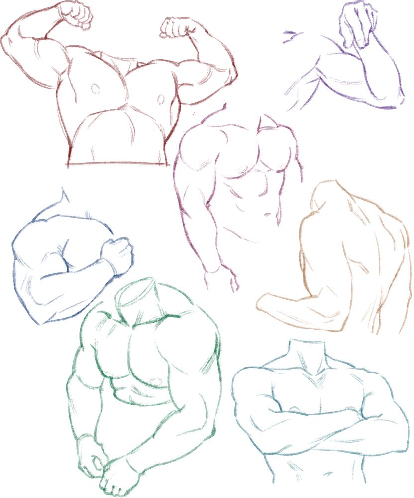 Several different colored sketches of a male upper body