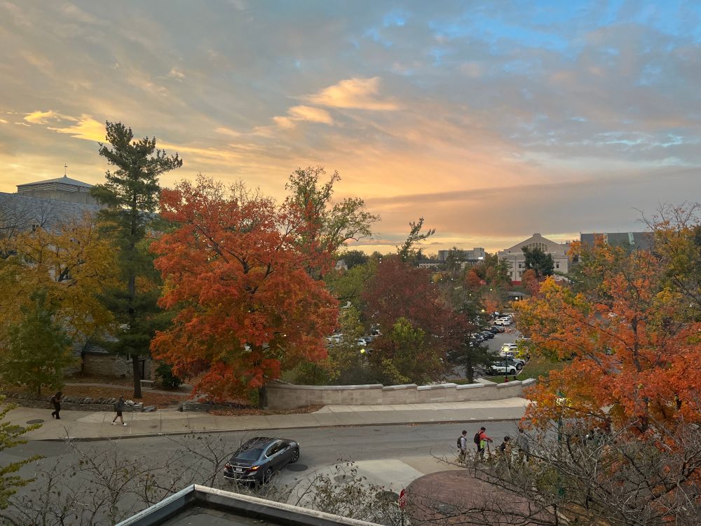 Sky and trees on part of the IU campus
