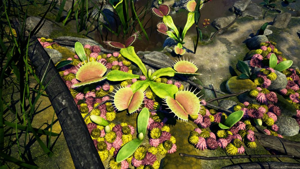 A Venus flytrap in a swampy environment in Empires of the Undergrowth