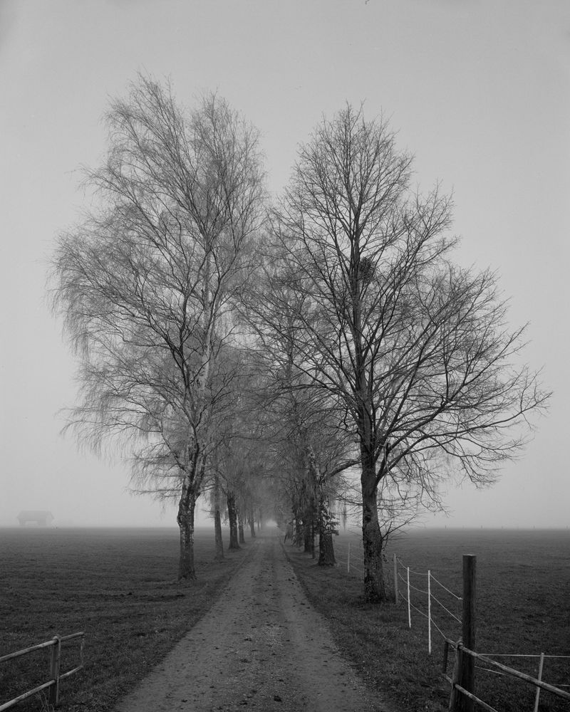 An alley in the fog of a utilitarian agriculture back road. Shot in black and white with a large format camera on film. 