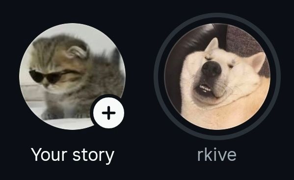 a screenshot Namjoon's profile picture on Instagram, which is a white dog with a squished face looking derpy. on the left is a picture of my profile picture, which is a small cat with sunglasses on (edited), looking cool