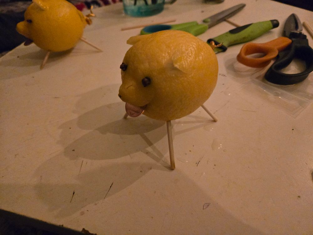 A lemon piggy 3/4ths facing to the left to show its side and tail. Second lemon piggy facing sideways in the background