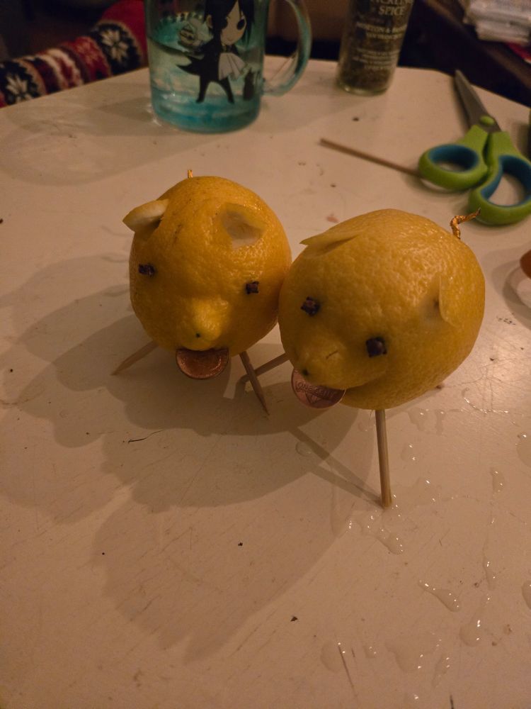 2 lemon piggies touching cheeks standing side by side on a white table