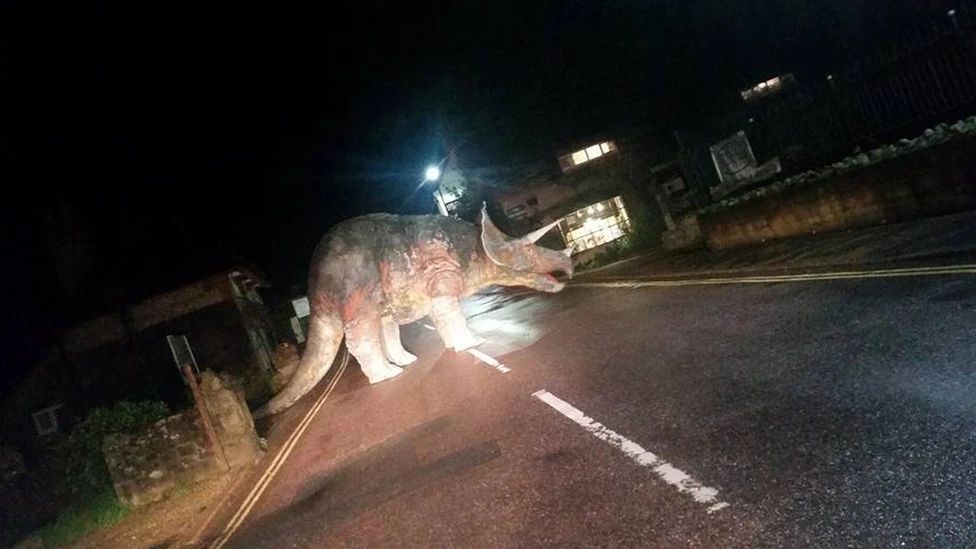 Picture of UK road (Isle of Wight) at night with large model triceratops standing across the entire width. Photo taken at an angle suggesting a quick snap, before the, er, dinosaur noticed them?