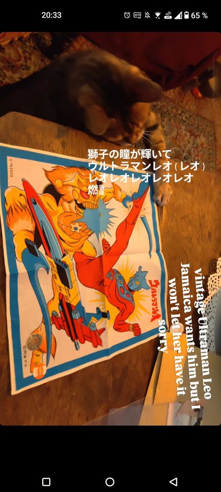 A vintage handkerchief of Ultraman Leo that my dad's cat is trying to steal
