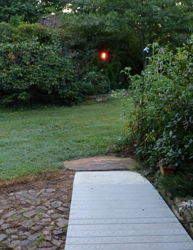 A bright spot of red sunrise seen through the trees on August 28. 