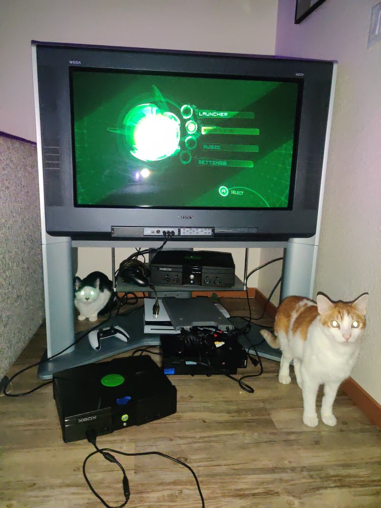 epic cats and xbox plus tv