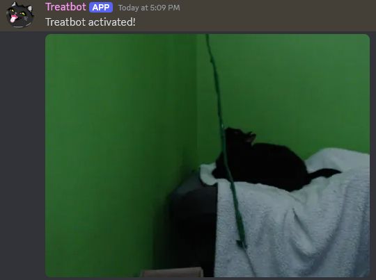 A screenshot from discord of a Treatbot with the text 