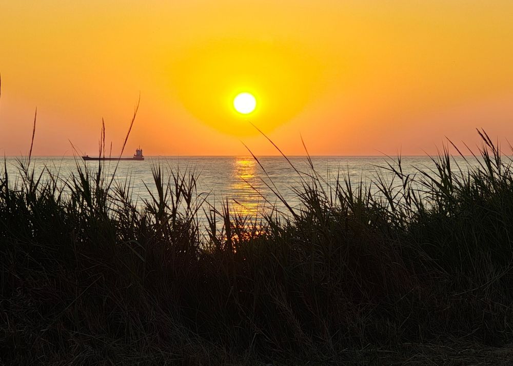 Sunset over a calm sea. Dark, wild grass in the foreground. An empty industrial ship far on the horizon. Bright sun in the center. Bright orange glow across a clear sky