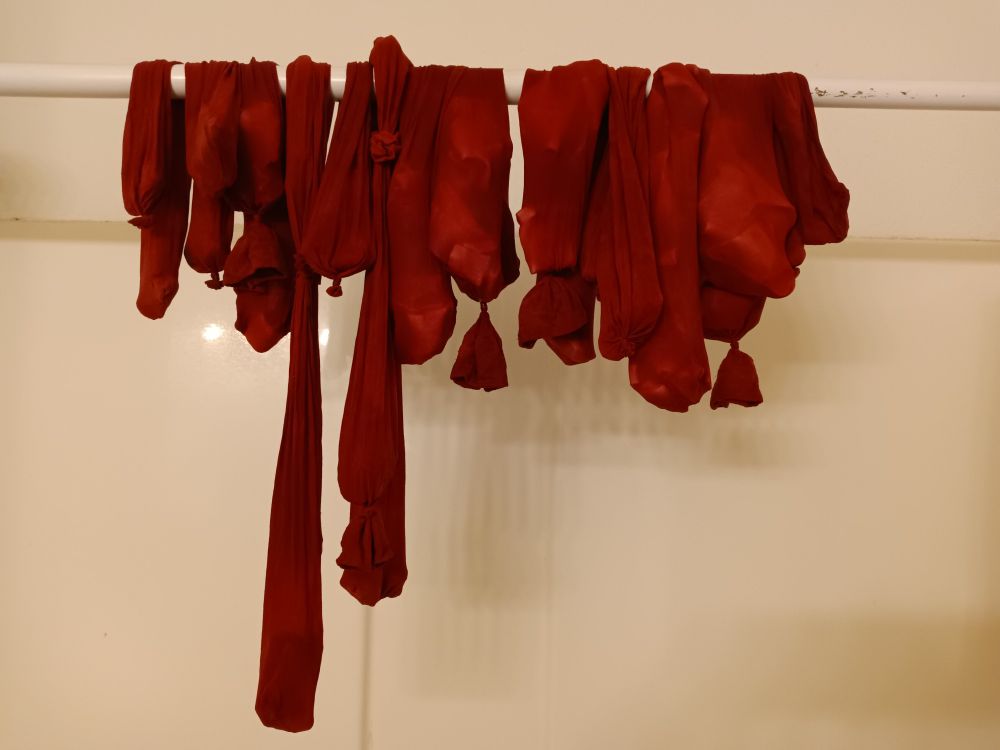 Items hanging from a shower curtain rod to dry. They are tubes of varying sizes, all dyed a deep red to simulate intestines.