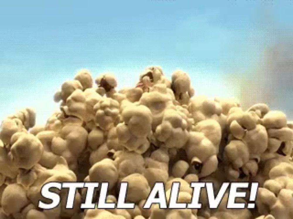 Still Alive! GIF