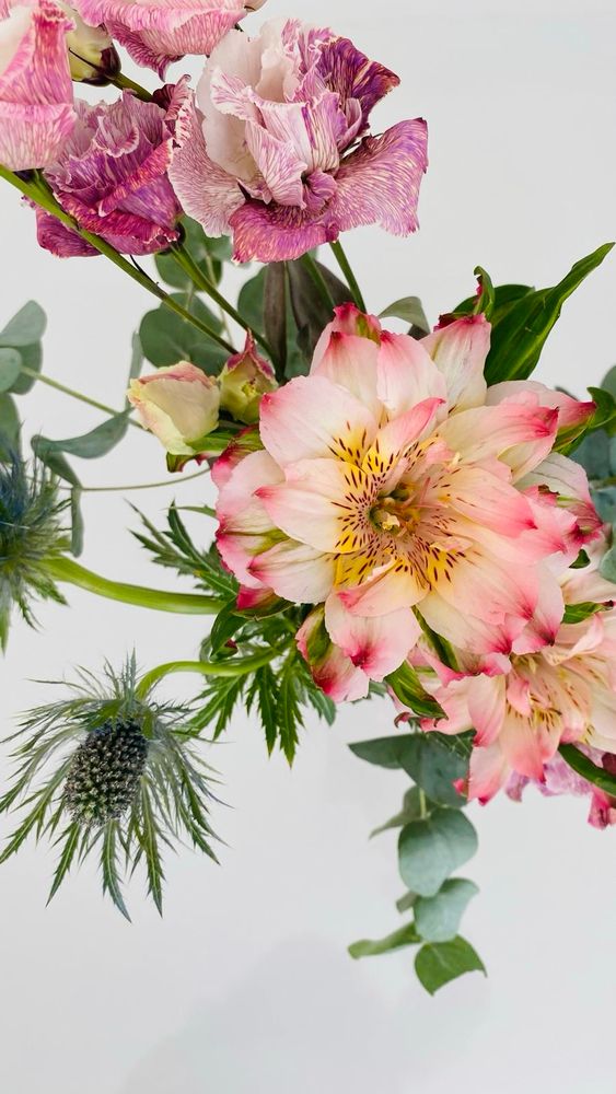 Ein bunter Blumenstrauß mit verschiedenen Blüten vor weißem Hintergrund. Im Vordergrund ist eine große, cremefarbene Blume mit rosa Spitzen und gelbem Zentrum zu sehen, vermutlich eine Alstroemeria. Darüber befinden sich violett-weiß gestreifte Blüten mit krausen Blütenblättern, wahrscheinlich eine Sorte von Nelken. Zwischen den Blüten ragen bläulich-grüne Disteln hervor, sowie einige Eukalyptusblätter und andere grüne Zweige.