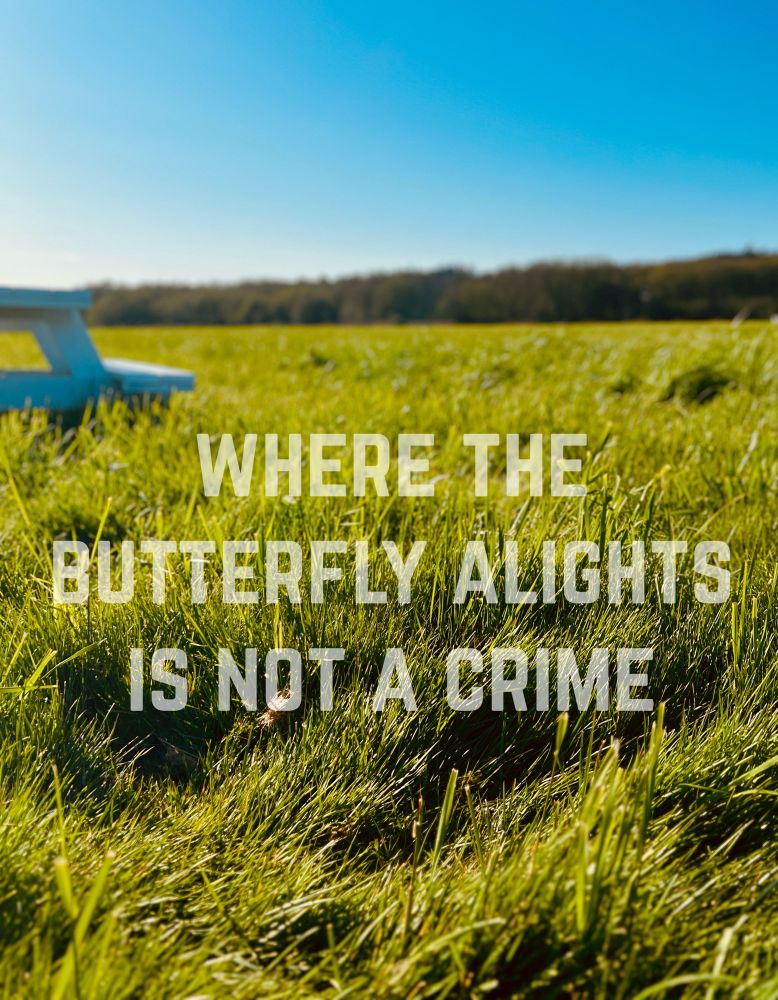 Where the butterfly alights is not a crime
