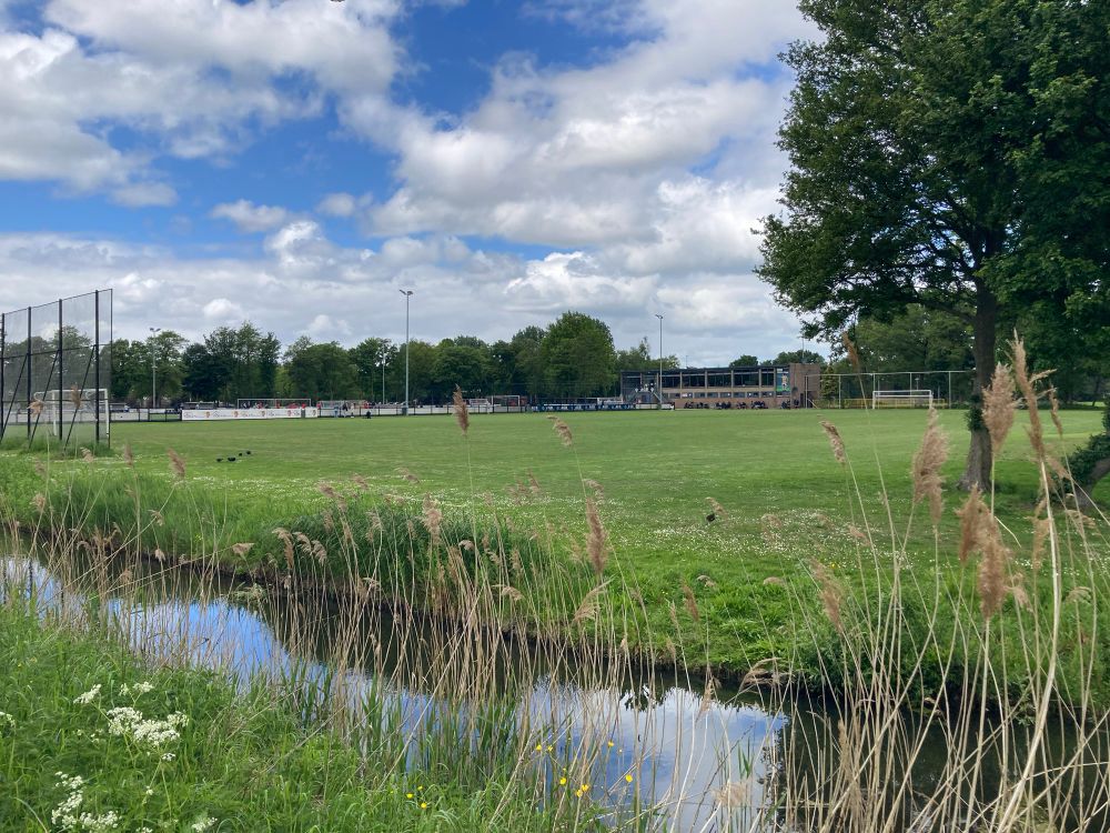 Het sportpark gezien vanaf de weg, met een sloot ertussen. Rechts staat een boom.