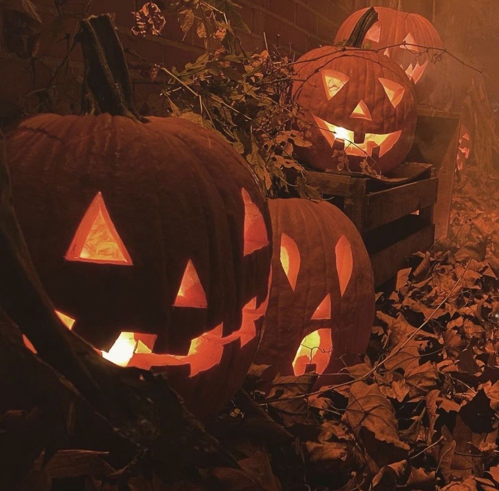 🎃 