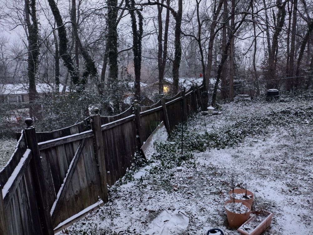 The beginning of a snowstorm.