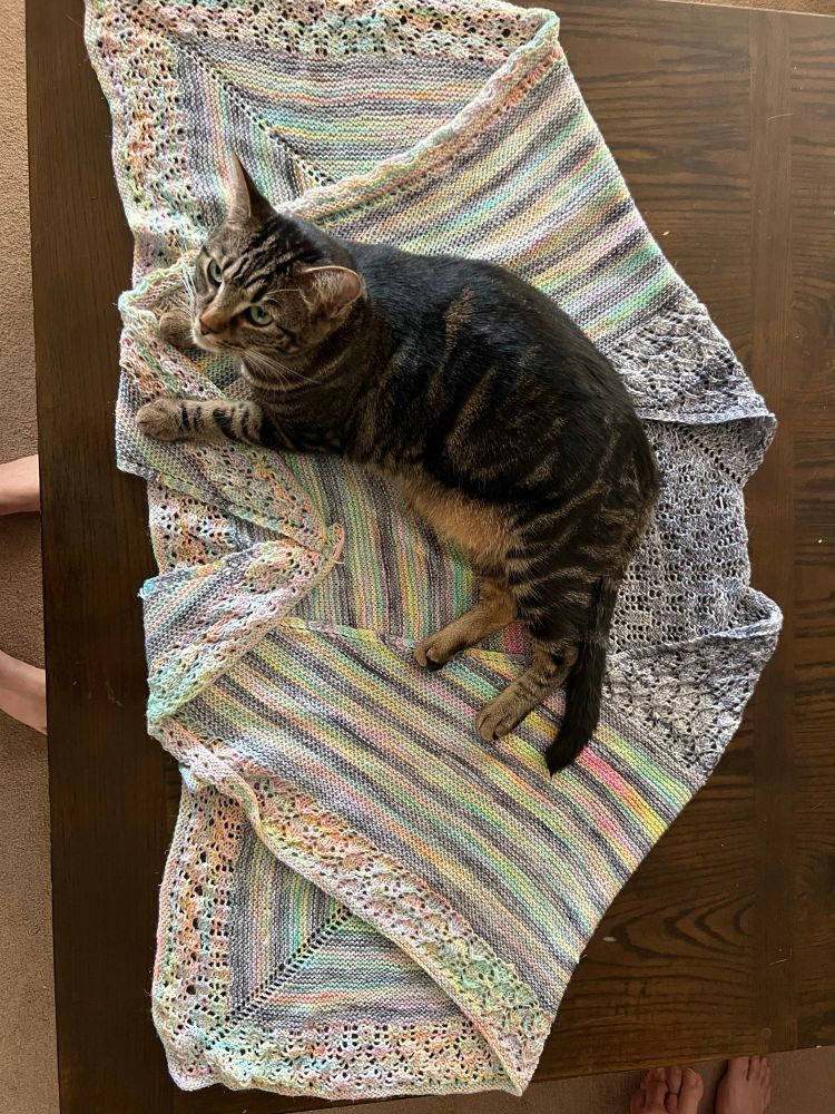 A brown cat lounges across a knit shawl. The shawl is laid on a table to showcase the craftsmanship. It’s alternating stripes of gray and rainbow sparkle vomit
