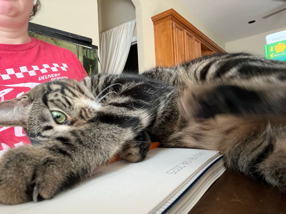 A brown cat lays longways across a planner. There’s a certain look in his eye, and something in his paws you can’t quite see.