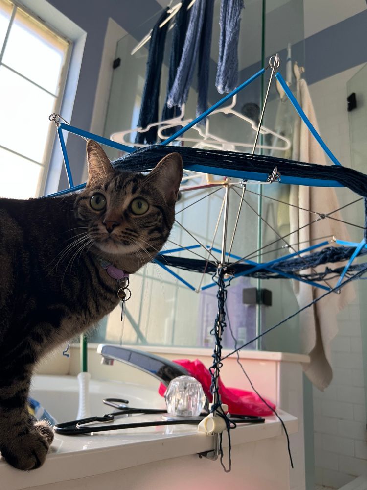 A brown cat observes yarny stuff going on. Yarn is being hung to dry in the background. In the foreground a tangle of yarn is laid across an umbrella winder.