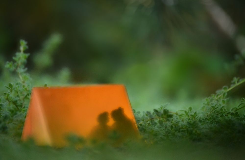 An orange tent sits surrounded by lush greenery. Silhouetted within are Ed and Stede, cuddled up close, their faces toward each other. The mood is one of peaceful solitude, just the two of them. This photo was taken by placing a small folded paper tent on top of a bed of mossy thyme, with a cut-out silhouette of Ed and Stede placed inside. The last bulb of a string of fairy lights is threaded under the moss into the tent to cast a gentle glow. This photo is a composite, made in photoshop, of three images taken in this way (to get the various areas of focus and blur to look nice).