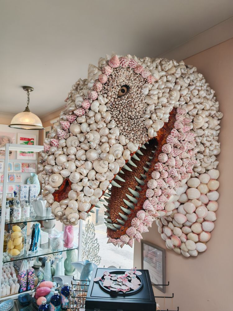 Carnivorous dinosaur head decorated with white and pink shells; left side view.