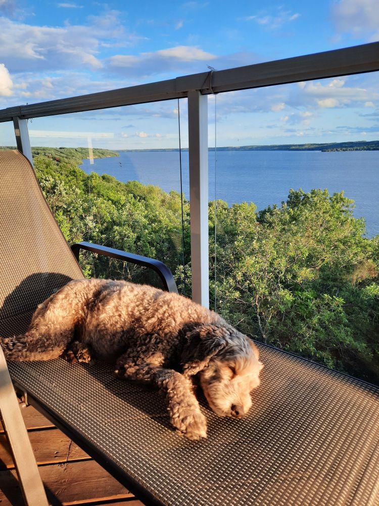 Dog asleep on deck chair, resting on balcony overlooking a lake. 