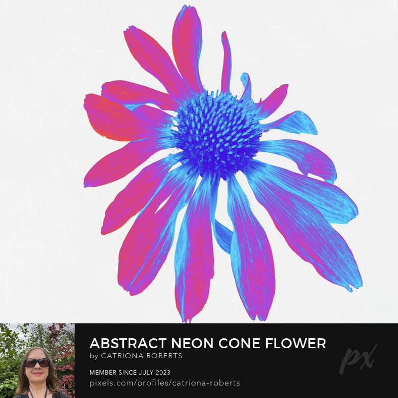 Digital image featurig the design-

Abstract Neon Cone Flower on a Pale Abstract Background.

Once a close up photo of a Cone flower and a hand painted acrylic, laterally combined and digitally manipulated using various means (including the Magic Background Remover, layering and colour filter options within Canva.com). 

Features a vibrant flower is depicted with neon pink and blue hues, standing out against a stark white background. 

The petals fan out around a detailed central disk, exhibiting a striking and modern aesthetic.

Click links on the main post for options.
