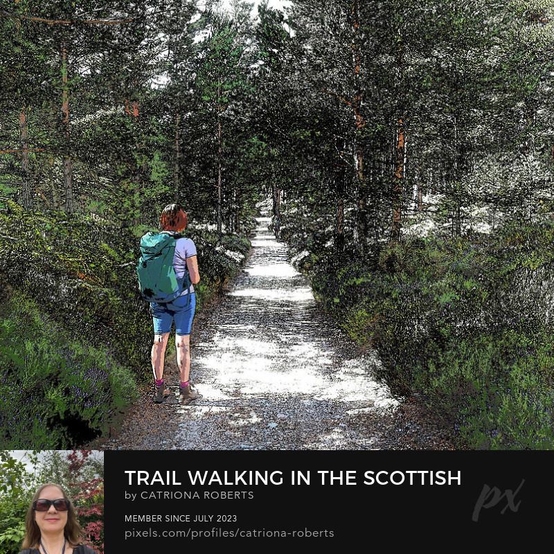 Coloured photograph featuring the design- Trail Walking in the Scottish Highlands. I took this photo using a creative photographic filter, during a lovely summer nature walk through the Scottish Highlands. Features a solitary walker with a blue backpack strolling down a sunlit Pine forest path surrounded by towering trees. The dappled light through the tree canopy creates a serene, tranquil atmosphere. Vibrant greens and earthy tones add to the natural beauty of the scene. Click links on the main post for options. 