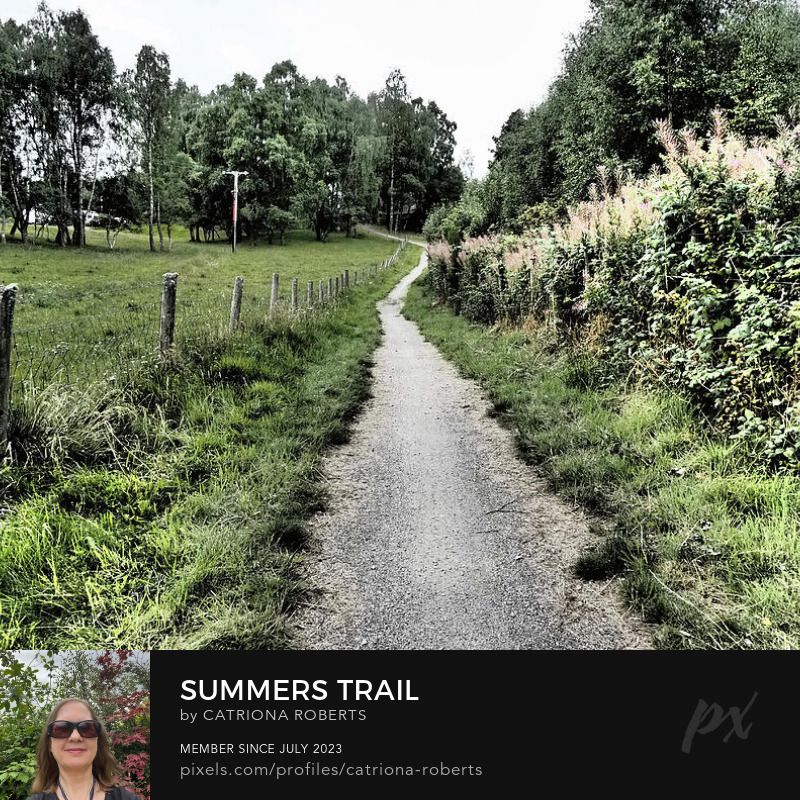 Coloured photograph featuring the design - 

Summer's Trail through the Scottish Highlands.

I took this photo during a lovely summer nature walk through the Scottish Highlands. 

Features a narrow path winds through a lush, green landscape, bordered by wooden fences and dense vegetation. 

Tall trees form a backdrop, enhancing the serene and tranquil atmosphere of the countryside scene.

Click links on the main post for options. 
